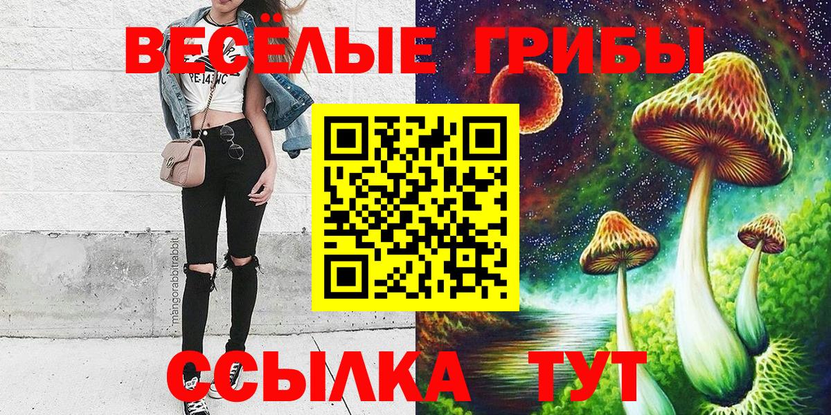 Псилоцибиновые грибы Psilocybe Юрга