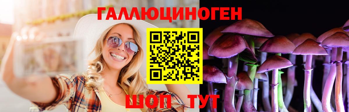 Псилоцибиновые грибы мицелий  Псилоцибиновые грибы мицелий  Юрга  Вход с VPN 